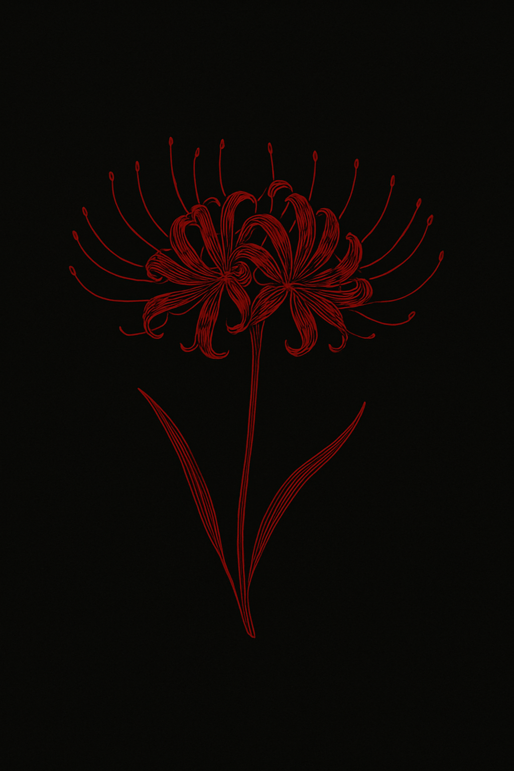 Logo Les Doux Pétales du Chaos - Macarons artisanaux Matane Québec